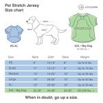 Littlearth Detroit Lions NFL Stretch Pet Jerseys for Big Dogs