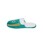 FOCO Mens Nfl Slide Miami Dolphins Team Logo Sherpa Slippers, Team Color, 11-12 US