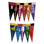 NCAA Big 12 Pennant, One Size, Team color