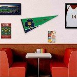 College Flags & Banners Co. Irish Irish Pennant Full Size Felt