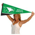 College Flags & Banners Co. North Dakota Fighting Hawks ND Hawk Logo Pennant
