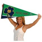 College Flags & Banners Co. Irish Irish Pennant Full Size Felt