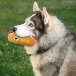 Pets First NFL Green Bay Packers HOT Dog Plush Dog & CAT Squeak Toy - Cutest HOT-Dog Snack Plush Toy for Dogs & Cats with Inner Squeaker & Beautiful Football Team Name/Logo 8 x 5 x 3 Inches