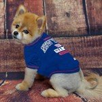 Pets First New York Giants T-Shirt, Small