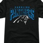 Junk Food Clothing x NFL - Carolina Panthers - Bold Logo - Unisex Adult Short Sleeve Fan T-Shirt for Men and Women - Size XX-Large