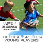 Franklin Sports NFL Detroit Lions Football - Youth Football - Mini 8.5" Rubber Ball - Perfect for Kids - Team Logos and Colors