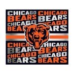 Rico Industries NFL Football Chicago Bears 22oz Stainless Steel Tumbler with Lid - Great For Coffee, Tea, Water or Cocktails
