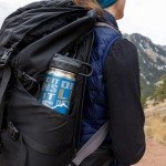 Rico Industries NFL Football Detroit Lions 22oz Stainless Steel Tumbler with Lid - Great For Coffee, Tea, Water or Cocktails