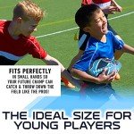 Franklin Sports NFL Tennessee Titans Football - Youth Football - Mini 8.5" Rubber Ball - Perfect for Kids - Team Logos and Colors