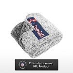FOCO New England Patriots NFL Big Logo Cloud Sherpa Blanket