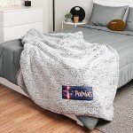 FOCO New England Patriots NFL Big Logo Cloud Sherpa Blanket