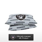 FOCO Las Vegas Raiders NFL Team Color Big Logo Standard 2 Pack Pillowcases