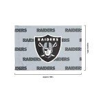 FOCO Las Vegas Raiders NFL Team Color Big Logo Standard 2 Pack Pillowcases