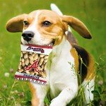 MLB Atlanta Braves Plush Peanuts Snack Toy for Dogs & Cats with Embroidered Team Name & Logo with Inner Squeaker