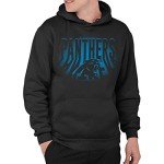 Junk Food Clothing x NFL - Carolina Panthers - Team Spotlight - Unisex Adult Pullover Fleece Hoodie for Men and Women - Size Large, Black