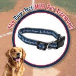 MLB Los Angeles Dodgers Licensed PET COLLAR- Heavy-Duty, Strong, and Durable Dog Collar. Available in 29 Baseball Teams and 4 Sizes