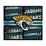 Rico Industries NFL Football Jacksonville Jaguars 22oz Stainless Steel Tumbler with Lid - Great For Coffee, Tea, Water or Cocktails