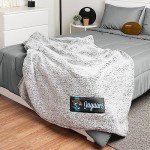 FOCO Jacksonville Jaguars NFL Big Logo Cloud Sherpa Blanket