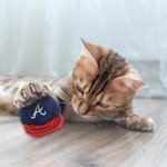 BEST PLUSH CAT TOY - MLB ATLANTA BRAVES Complete Set of 3 piece Cat Toys filed with Fresh Catnip. Incld: 1 Baseball Cap Cat Toy, 1 Baseball Cat Toy with Feathers, & 1 Beer Bottle. Beautiful Team LOGOS