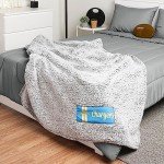 FOCO Los Angeles Chargers NFL Big Logo Cloud Sherpa Blanket