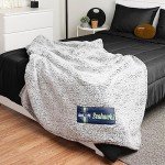 FOCO Seattle Seahawks NFL Big Logo Cloud Sherpa Blanket