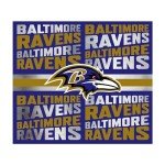 Rico Industries NFL Football Baltimore Ravens 22oz Stainless Steel Tumbler with Lid - Great For Coffee, Tea, Water or Cocktails