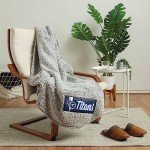 FOCO Tennessee Titans NFL Big Logo Cloud Sherpa Blanket