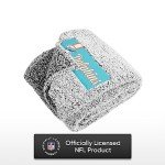 FOCO Miami Dolphins NFL Big Logo Cloud Sherpa Blanket