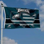 WinCraft Philadelphia Eagles Nation USA American Country 3x5 Flag