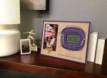 YouTheFan NFL Minnesota Vikings 3D StadiumViews Picture Frame