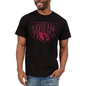 Junk Food Clothing x NFL - Arizona Cardinals - Team Spotlight - Unisex Adult Short Sleeve Fan T-Shirt for Men and Women - Size Medium