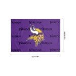 FOCO Minnesota Vikings NFL Team Color Big Logo Standard 2 Pack Pillowcases