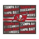 Rico Industries NFL Football Tampa Bay Buccaneers 22oz Stainless Steel Tumbler with Lid - Great For Coffee, Tea, Water or Cocktails