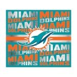 Rico Industries NFL Football Miami Dolphins 22oz Stainless Steel Tumbler with Lid - Great For Coffee, Tea, Water or Cocktails