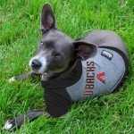 Pets First MLB Hoodie for Dogs & Cats - Arizona Diamondbacks Dog Hooded T-Shirt, X-Small. - MLB Team Color Hoody
