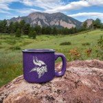 Rico Industries NFL Football Minnesota Vikings Speckle 12oz Laser Engraved Campfire Mug