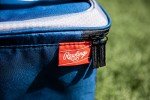 Rawlings NFL Soft Sided Insulated Cooler Bag, 12-Can Capacity, Detroit Lions
