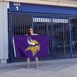 Rico Industries NFL Minnesota Vikings 3-Foot by 5-Foot Single Sided Banner Flag with Grommets