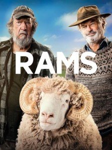 Rams