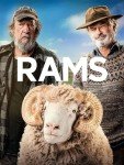Rams