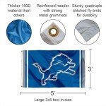 WinCraft Detroit Lions New Logo Flag
