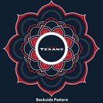 Littlearth Houston Texans NFL Sheer Caftan with Flower Design