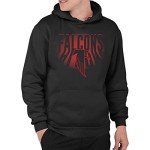 Junk Food Clothing x NFL - Atlanta Falcons - Team Spotlight - Unisex Adult Pullover Fleece Hoodie for Men and Women - Size X-Large
