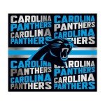 Rico Industries NFL Football Carolina Panthers 22oz Stainless Steel Tumbler with Lid - Great For Coffee, Tea, Water or Cocktails