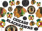 Tervis Made in USA Double Walled NHL Chicago Blackhawks Insulated Tumbler Cup Keeps Drinks Cold & Hot, 24oz, All Over