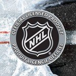 NHL Carolina Hurricanes Team Logo Mini Hockey Goalie Mask with Case - Collectible Goalie Mask with Official NHL Logos and Colors