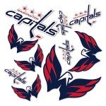 Desert Cactus Washington Capitals Sticker NHL Team National Hockey League Vinyl Decal Laptop Water Bottle Car Scrapbook Sheet (Type 1-1)