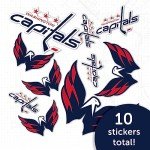Desert Cactus Washington Capitals Sticker NHL Team National Hockey League Vinyl Decal Laptop Water Bottle Car Scrapbook Sheet (Type 1-1)