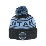ZHATS Standard NHL Officially Licensed Beanie Pom Snag, Black, One Size