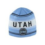ZHATS Standard NHL Officially Licensed Beanie Hatch, Team Color, One Size